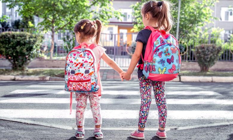 Die SPD-Fraktion beantragt, die Einrichtung eines Zebrastreifens an der Schlesienstraße im Bereich der Marien-Grundschule Büderich